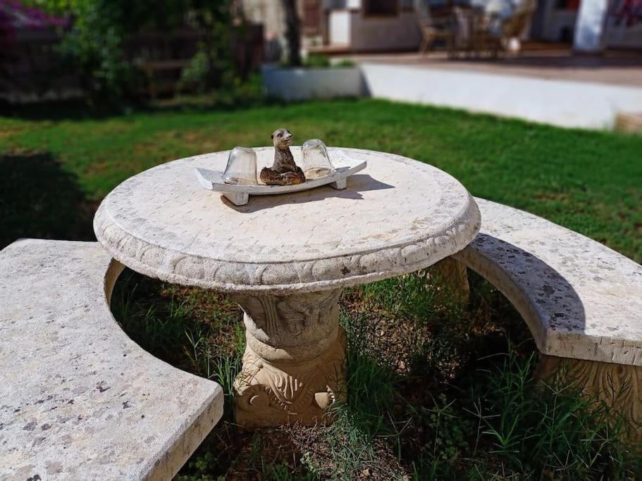 Villa Falconera Apartaments, Gandia A Las Faldas De La Montana Dış mekan fotoğraf