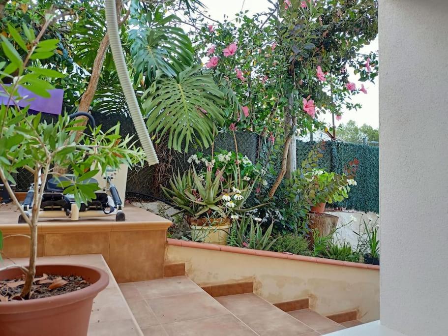 Villa Falconera Apartaments, Gandia A Las Faldas De La Montana Dış mekan fotoğraf