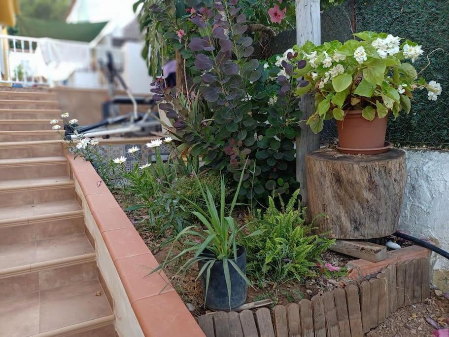 Villa Falconera Apartaments, Gandia A Las Faldas De La Montana Dış mekan fotoğraf
