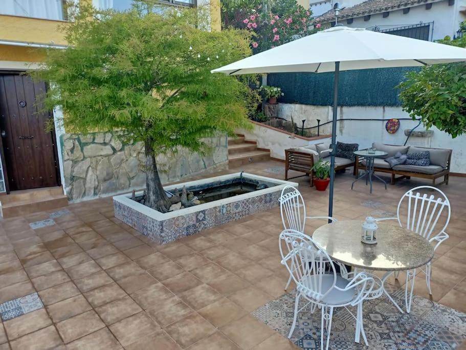 Villa Falconera Apartaments, Gandia A Las Faldas De La Montana Dış mekan fotoğraf