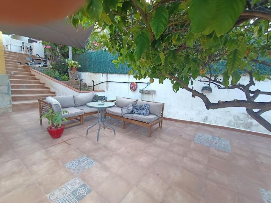 Villa Falconera Apartaments, Gandia A Las Faldas De La Montana Dış mekan fotoğraf