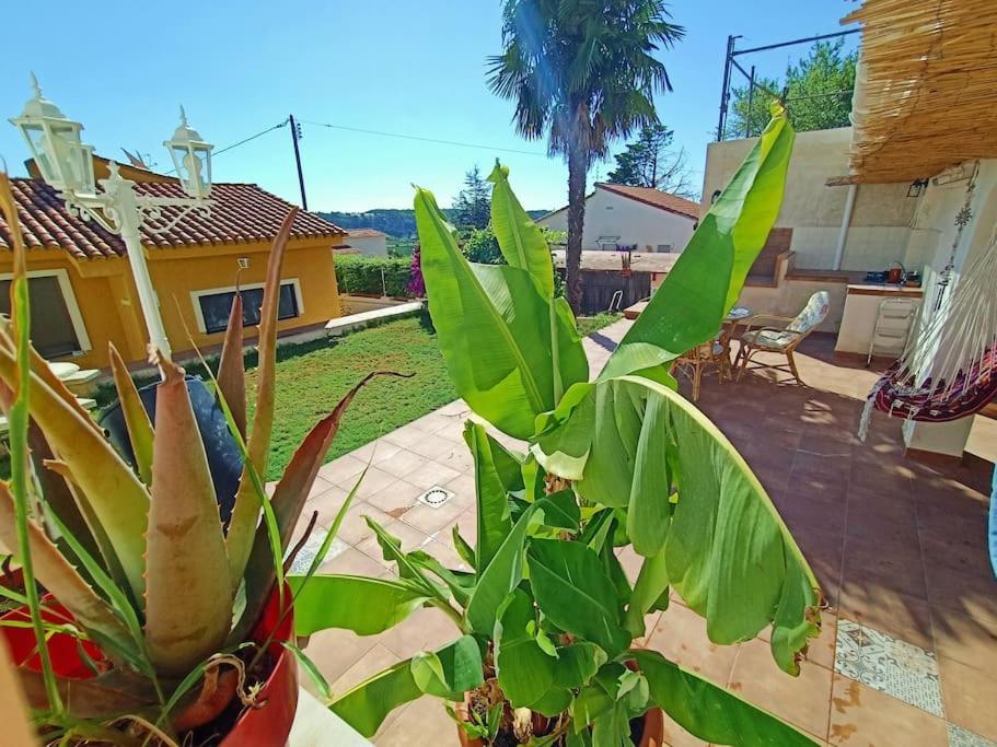 Villa Falconera Apartaments, Gandia A Las Faldas De La Montana Dış mekan fotoğraf