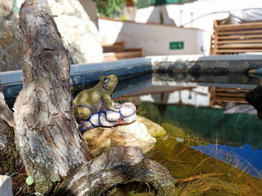 Villa Falconera Apartaments, Gandia A Las Faldas De La Montana Dış mekan fotoğraf
