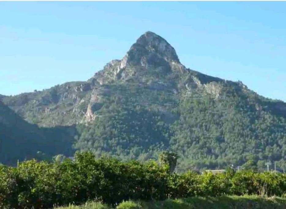 Villa Falconera Apartaments, Gandia A Las Faldas De La Montana Dış mekan fotoğraf