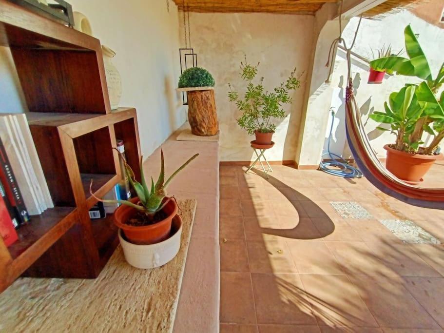Villa Falconera Apartaments, Gandia A Las Faldas De La Montana Dış mekan fotoğraf