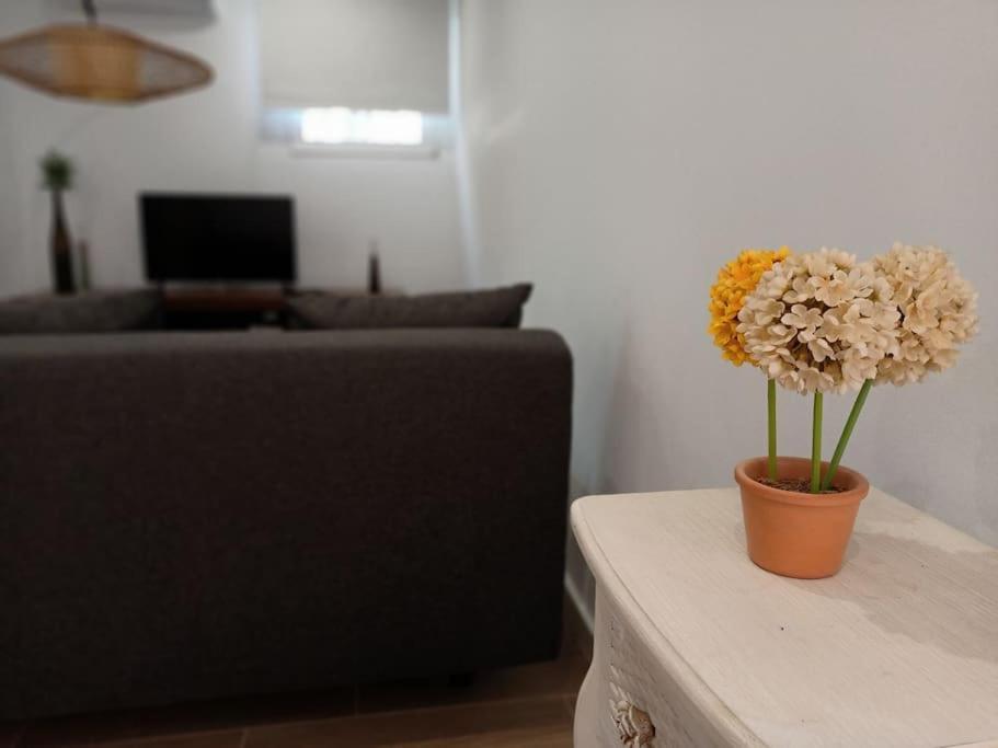 Villa Falconera Apartaments, Gandia A Las Faldas De La Montana Dış mekan fotoğraf