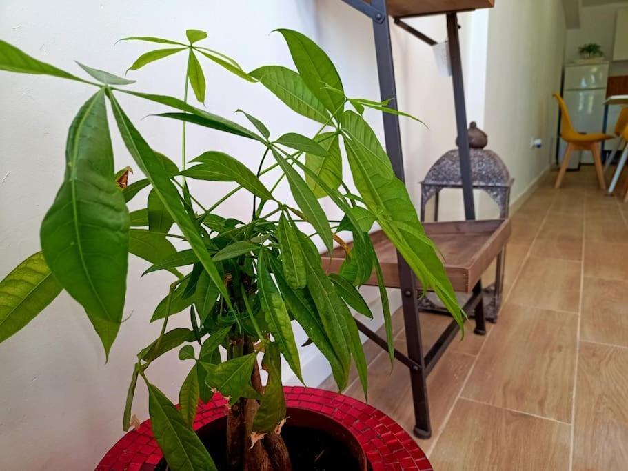 Villa Falconera Apartaments, Gandia A Las Faldas De La Montana Dış mekan fotoğraf